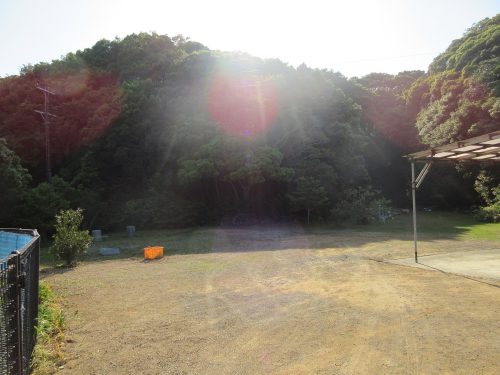 渡鹿野島の奥地