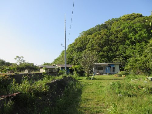 渡鹿野島の奥地