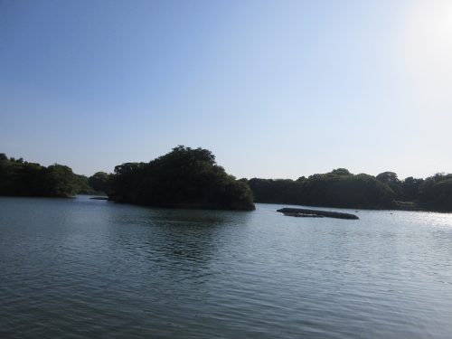 はくささん（居森大明神）島