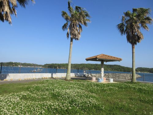 渡鹿野島海岸沿い